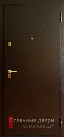 Входные двери с порошковым напылением в Лосино-Петровском «Двери с порошком»